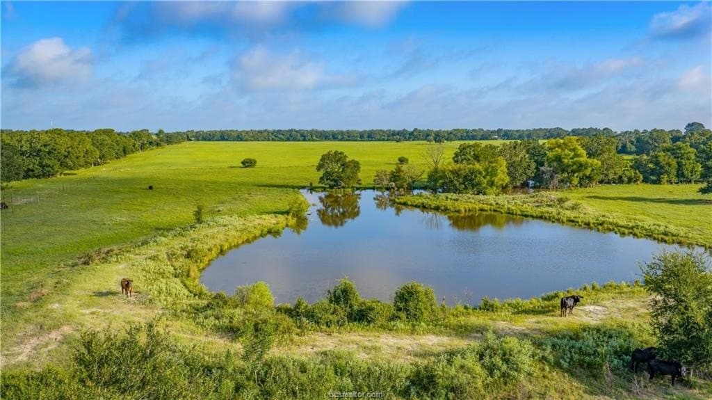 545 acres in Burleson County - photo 31