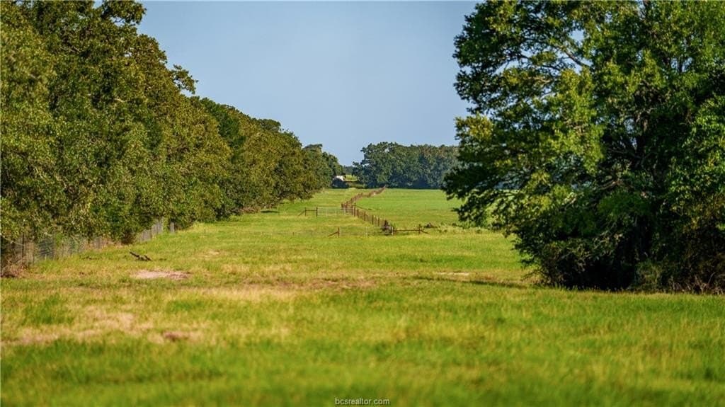 545 acres in Burleson County - photo 28
