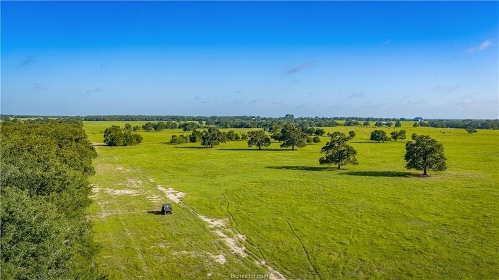 545 acres in Burleson County - photo 29