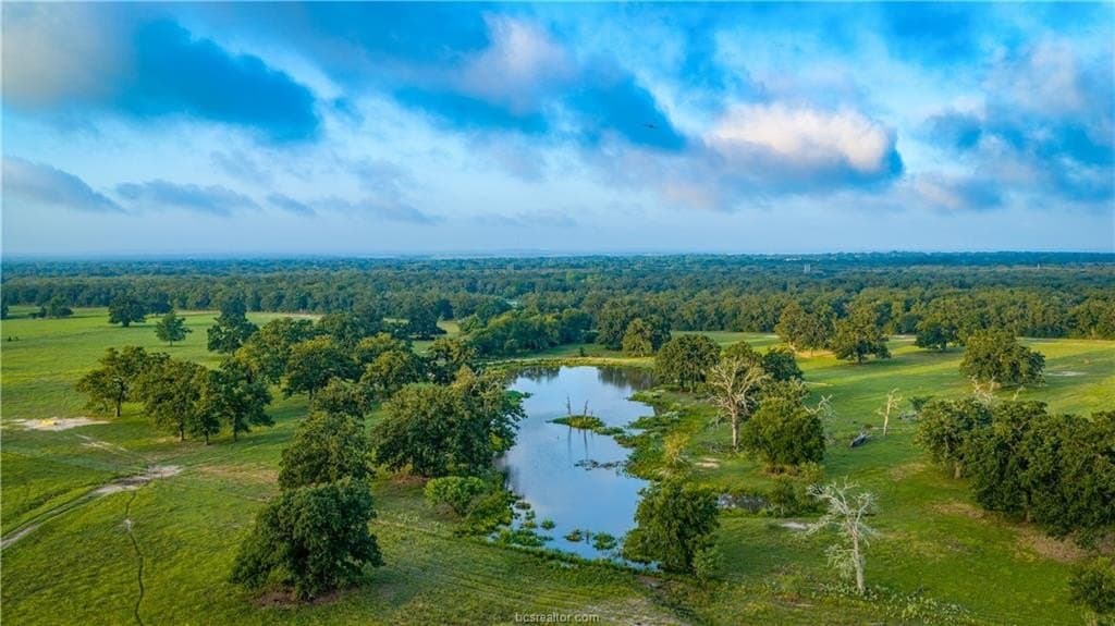 545 acres in Burleson County - photo 41