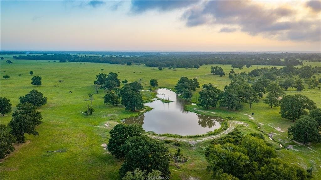 545 acres in Burleson County - photo 45