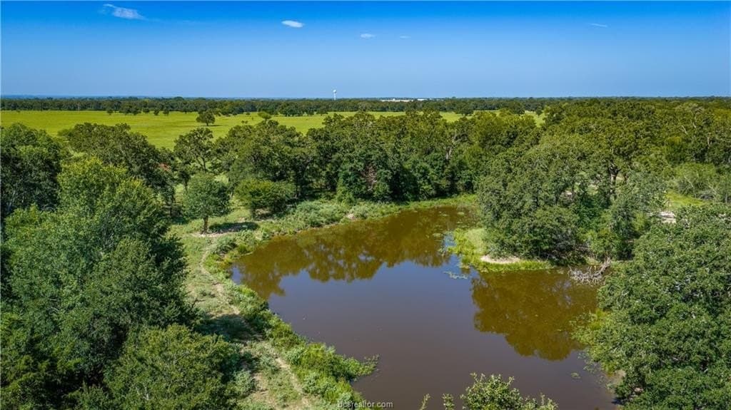 545 acres in Burleson County - photo 25