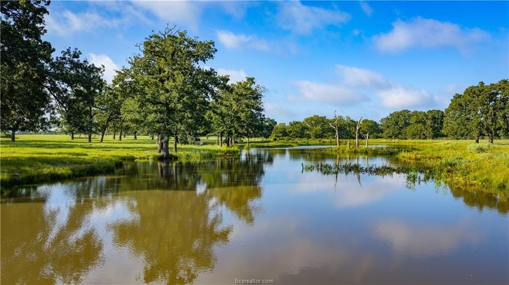 545 acres in Burleson County - photo 10