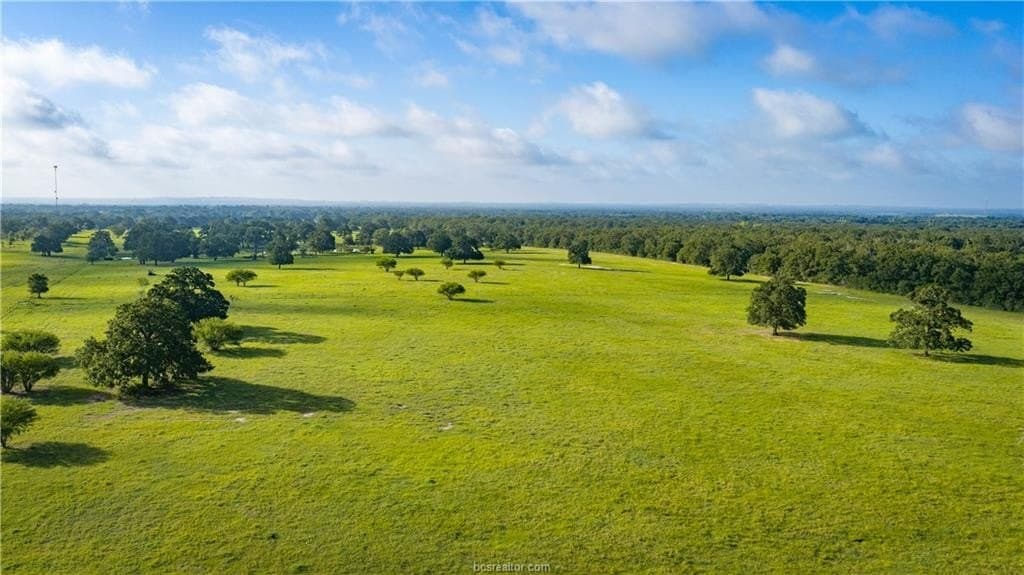545 acres in Burleson County - photo 12