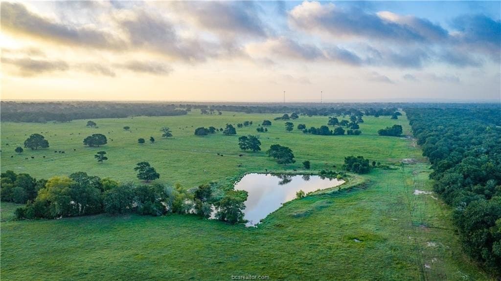 545 acres in Burleson County - photo 42