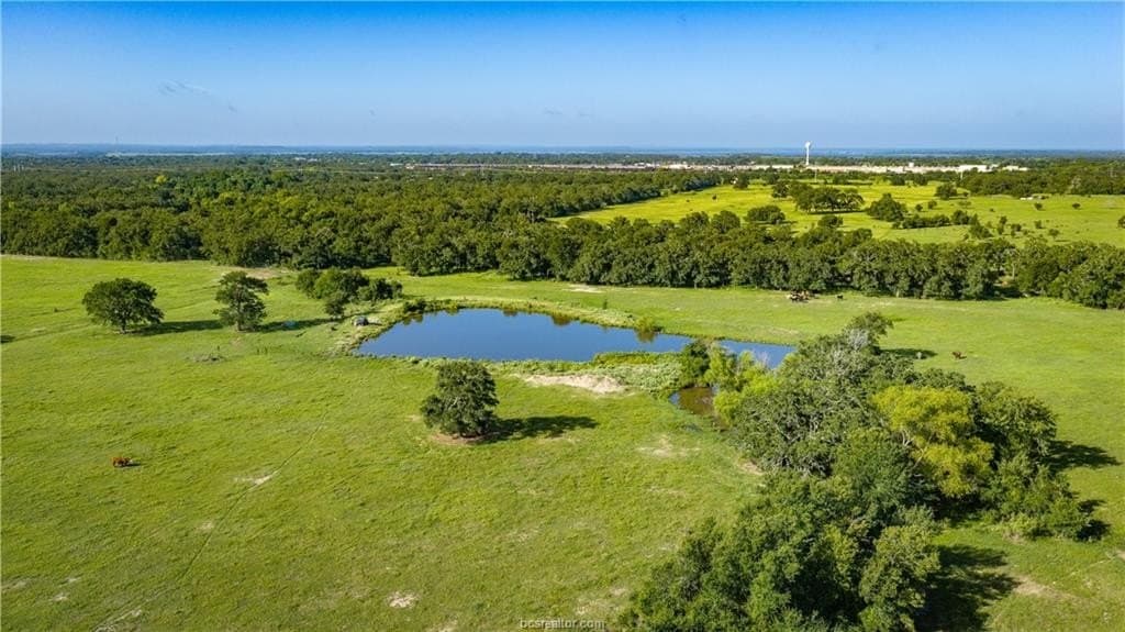 545 acres in Burleson County - photo 9