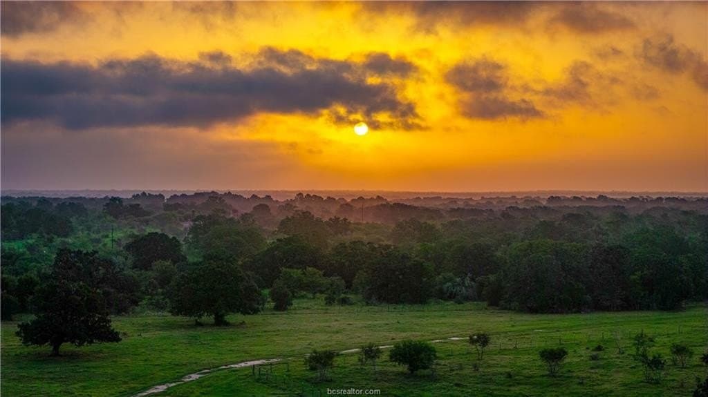 545 acres in Burleson County - photo 14