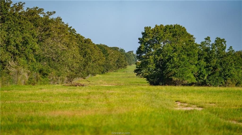 545 acres in Burleson County - photo 11