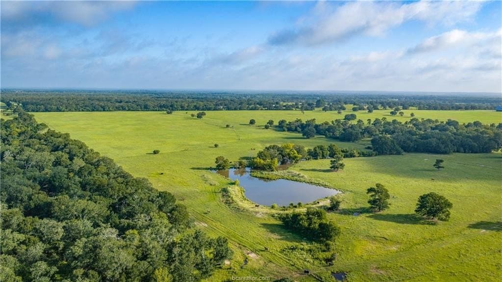 545 acres in Burleson County - photo 32