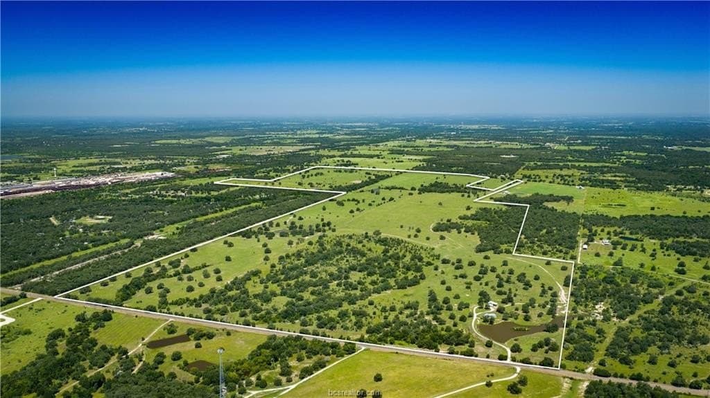 545 acres in Burleson County - photo 5