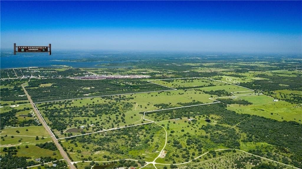 545 acres in Burleson County - photo 4
