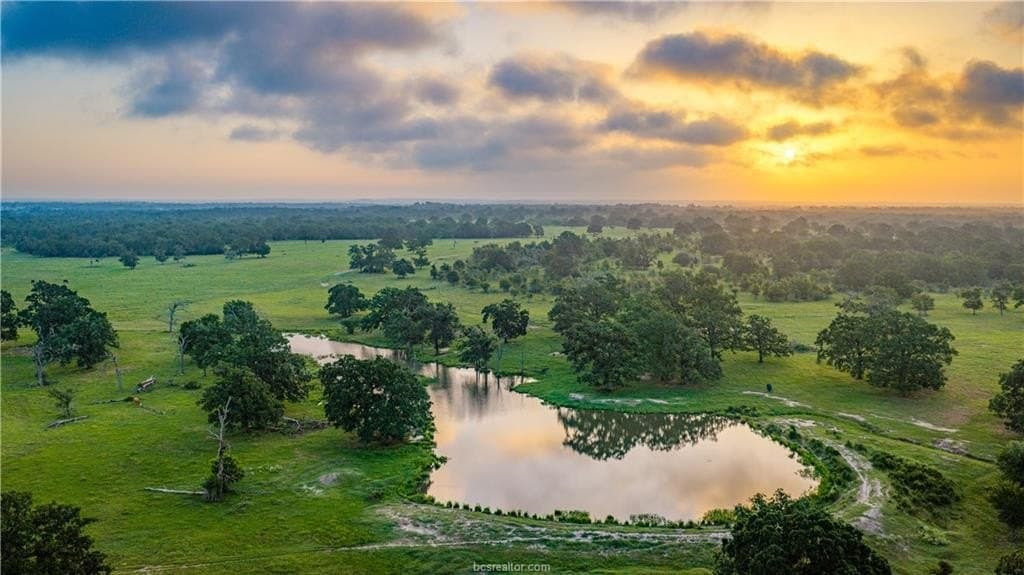545 acres in Burleson County - photo 44