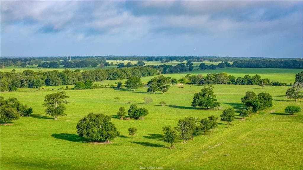 545 acres in Burleson County - photo 34