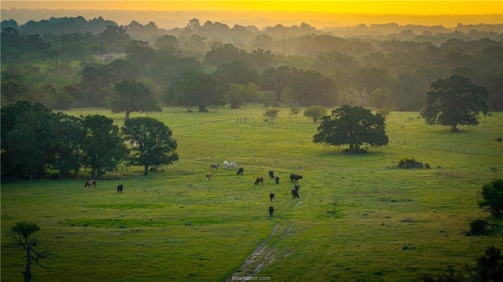 545 acres in Burleson County - photo 46