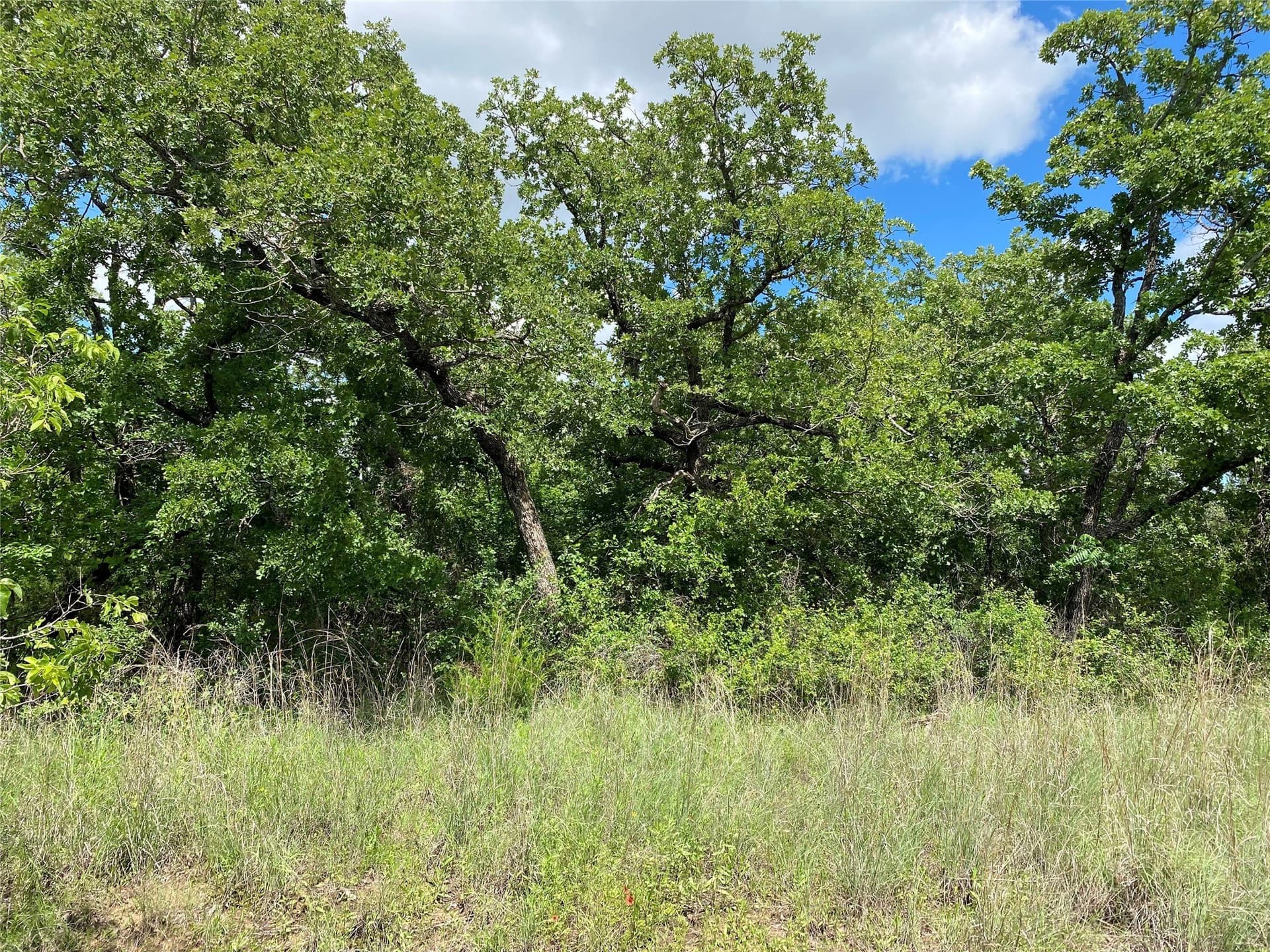 1.51 acres in Montague County - photo 3