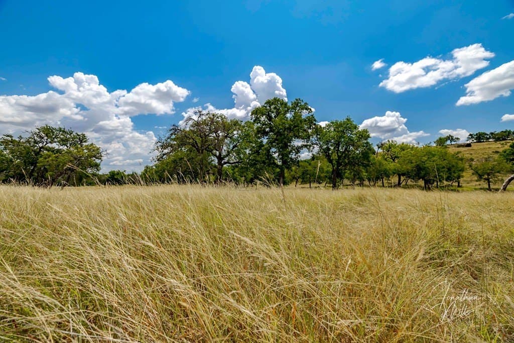 3.5 acres in Gillespie County gallery image 3