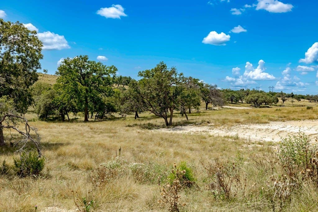 3.5 acres in Gillespie County gallery image 4