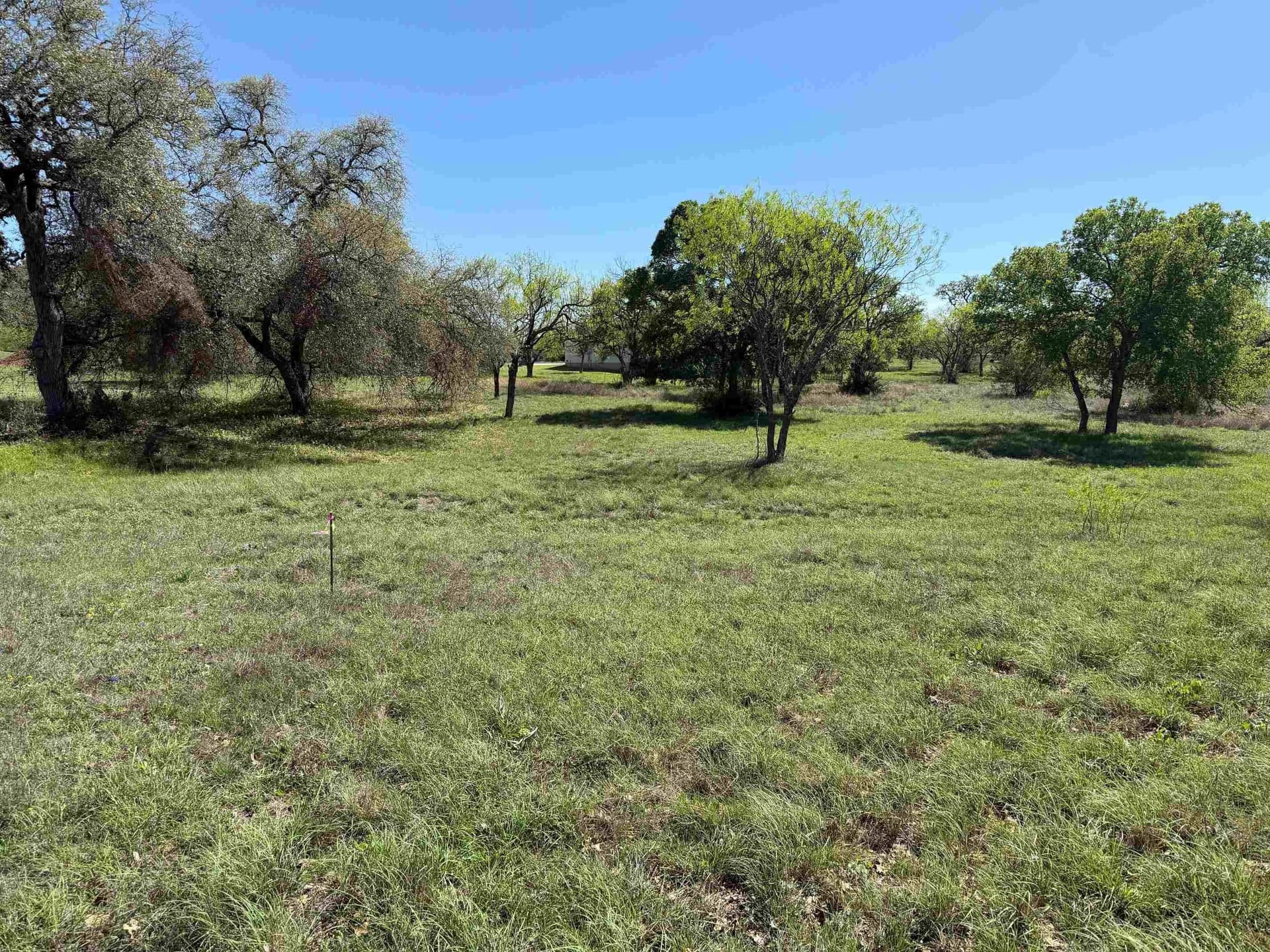 0.25 acres in Llano County gallery image 3