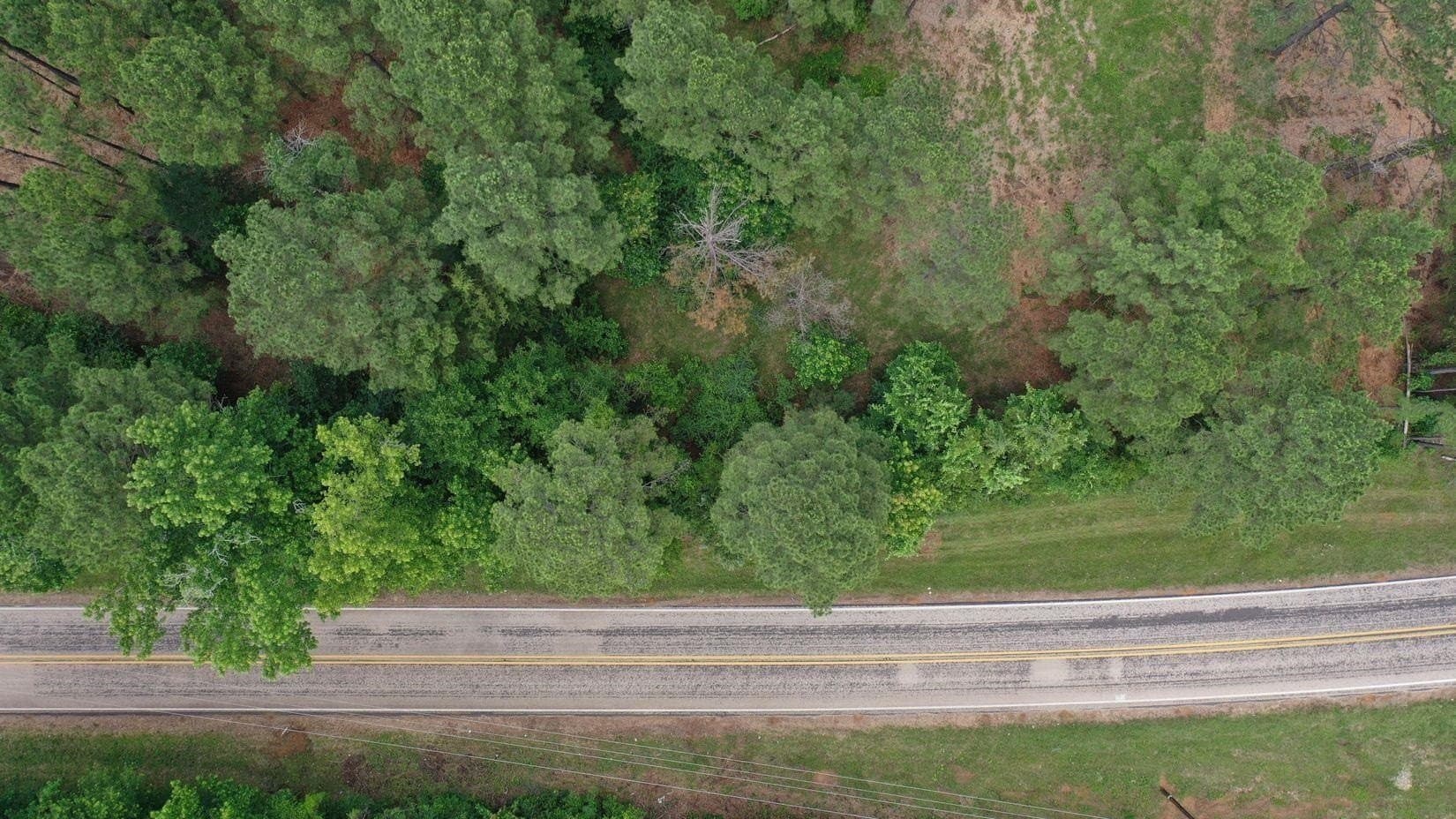 8.6 acres in Marion County gallery image 3