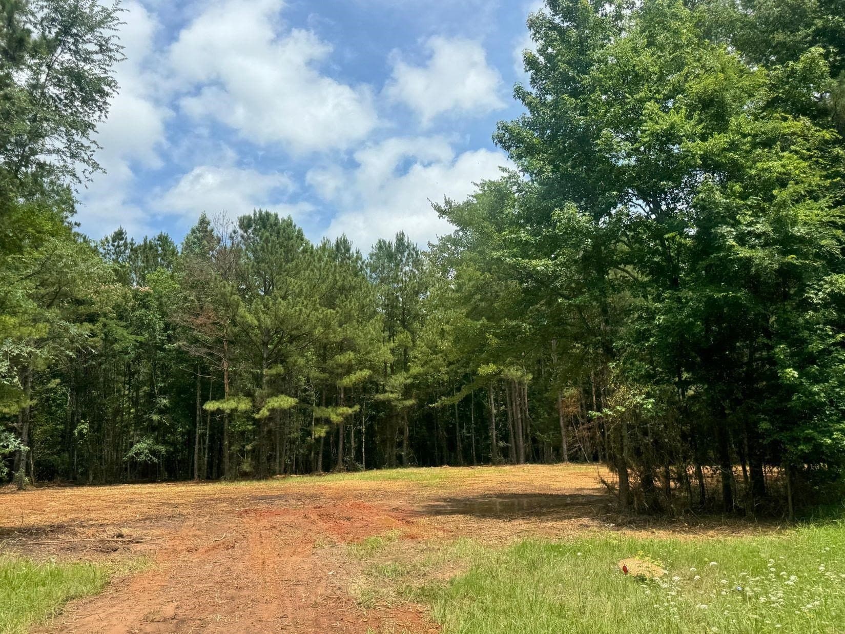 8.6 acres in Marion County - photo 7