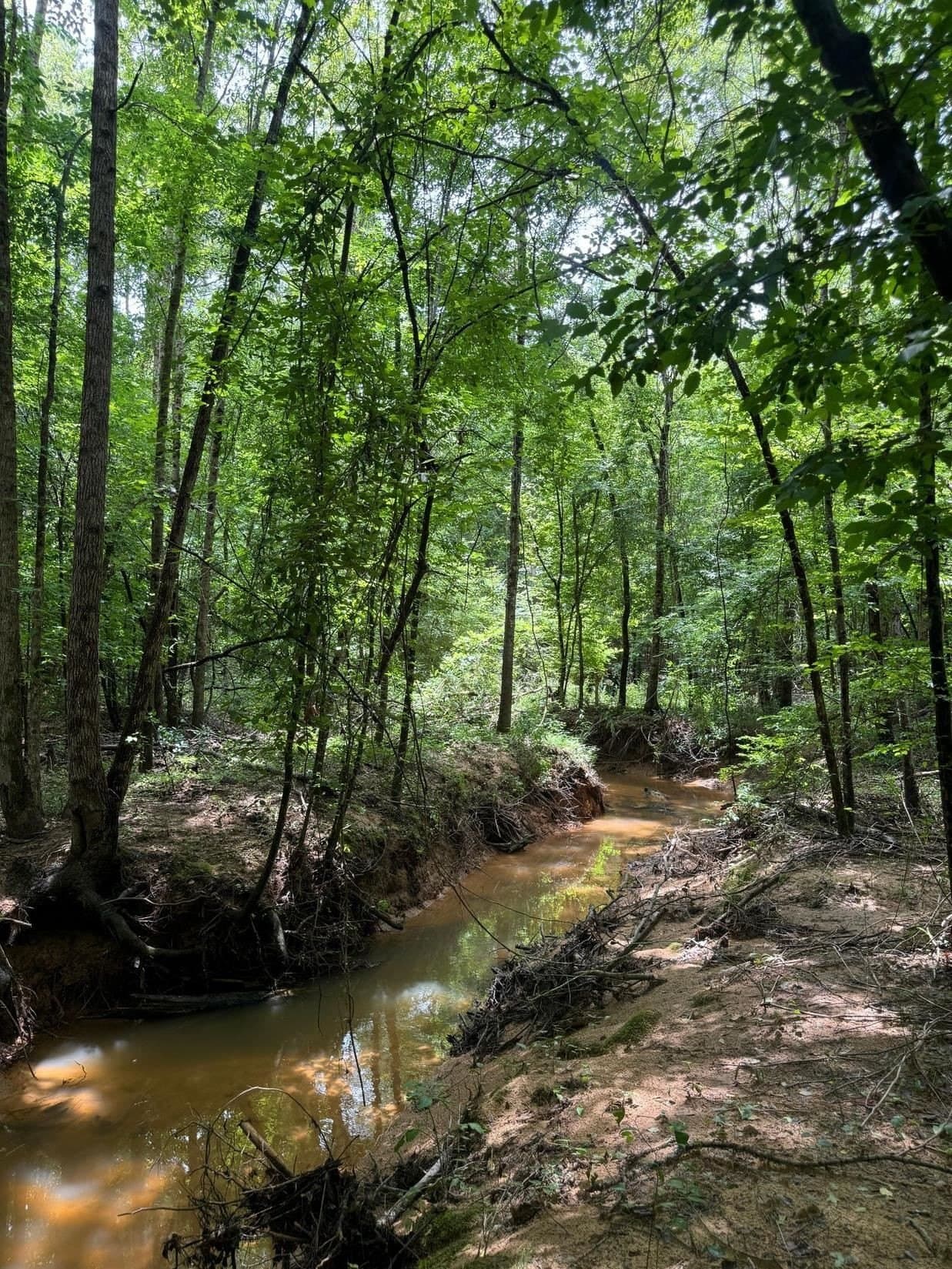 8.6 acres in Marion County - photo 11