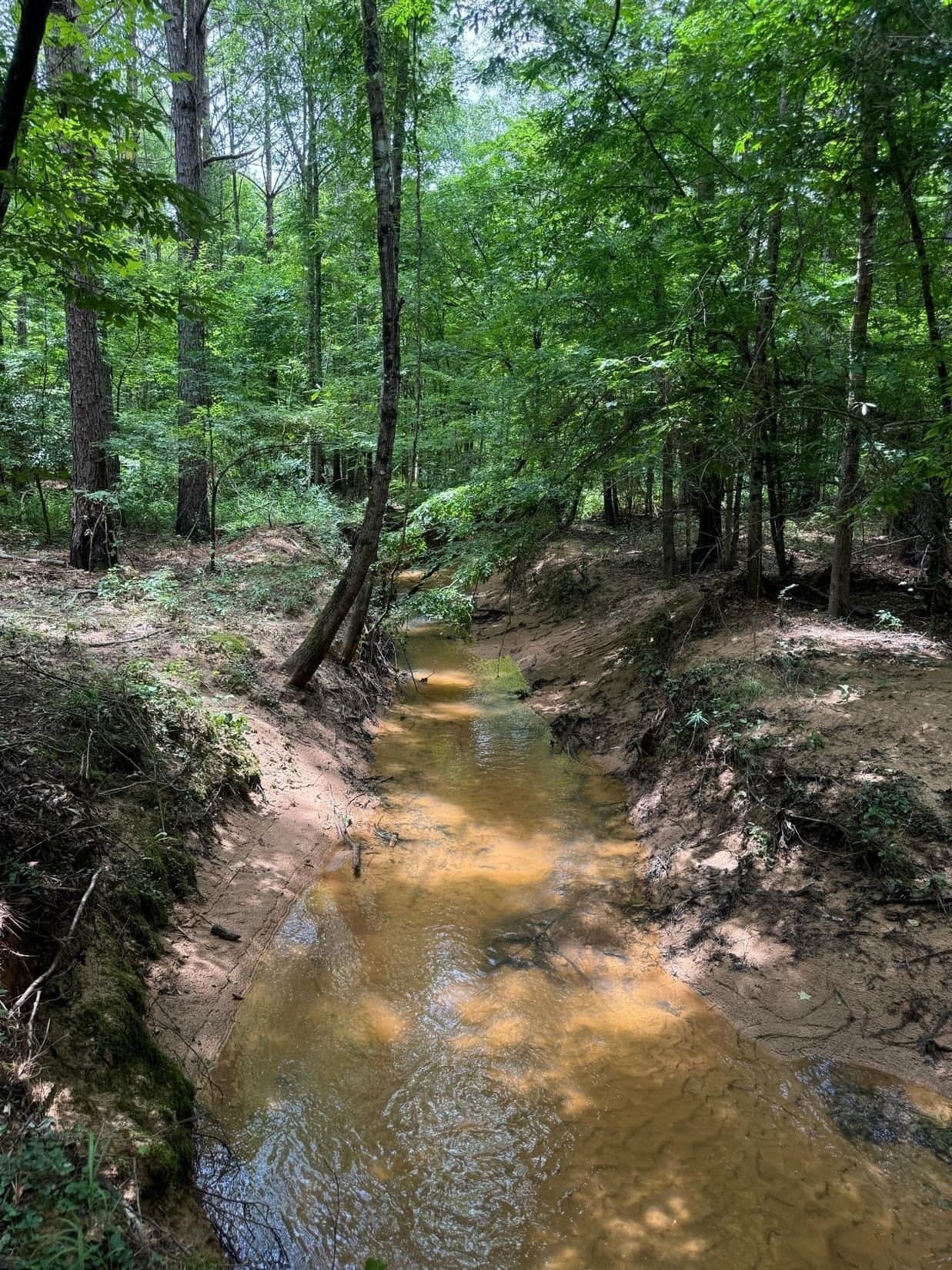 8.6 acres in Marion County - photo 12