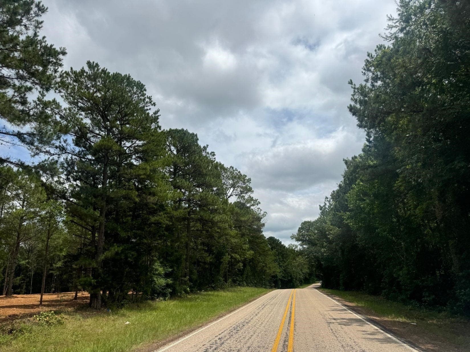 8.6 acres in Marion County - photo 6