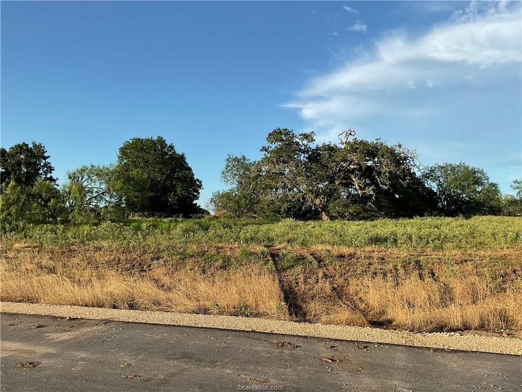 1.84 acres in Brazos County gallery image 4