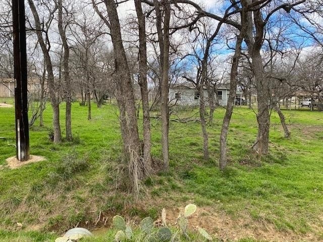 0.45 acres in Burnet County gallery image 2