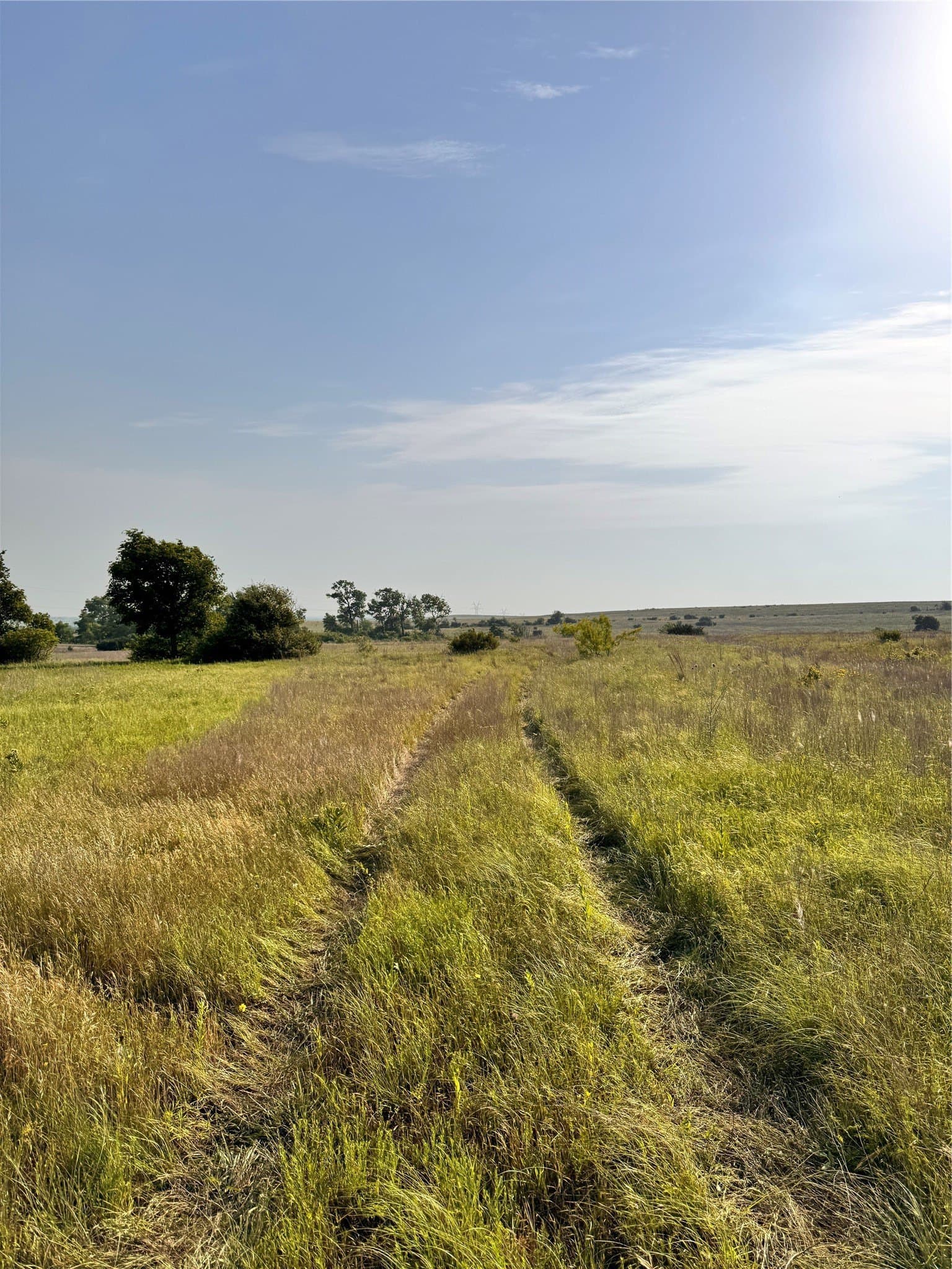 58.39 acres in Johnson County - photo 6