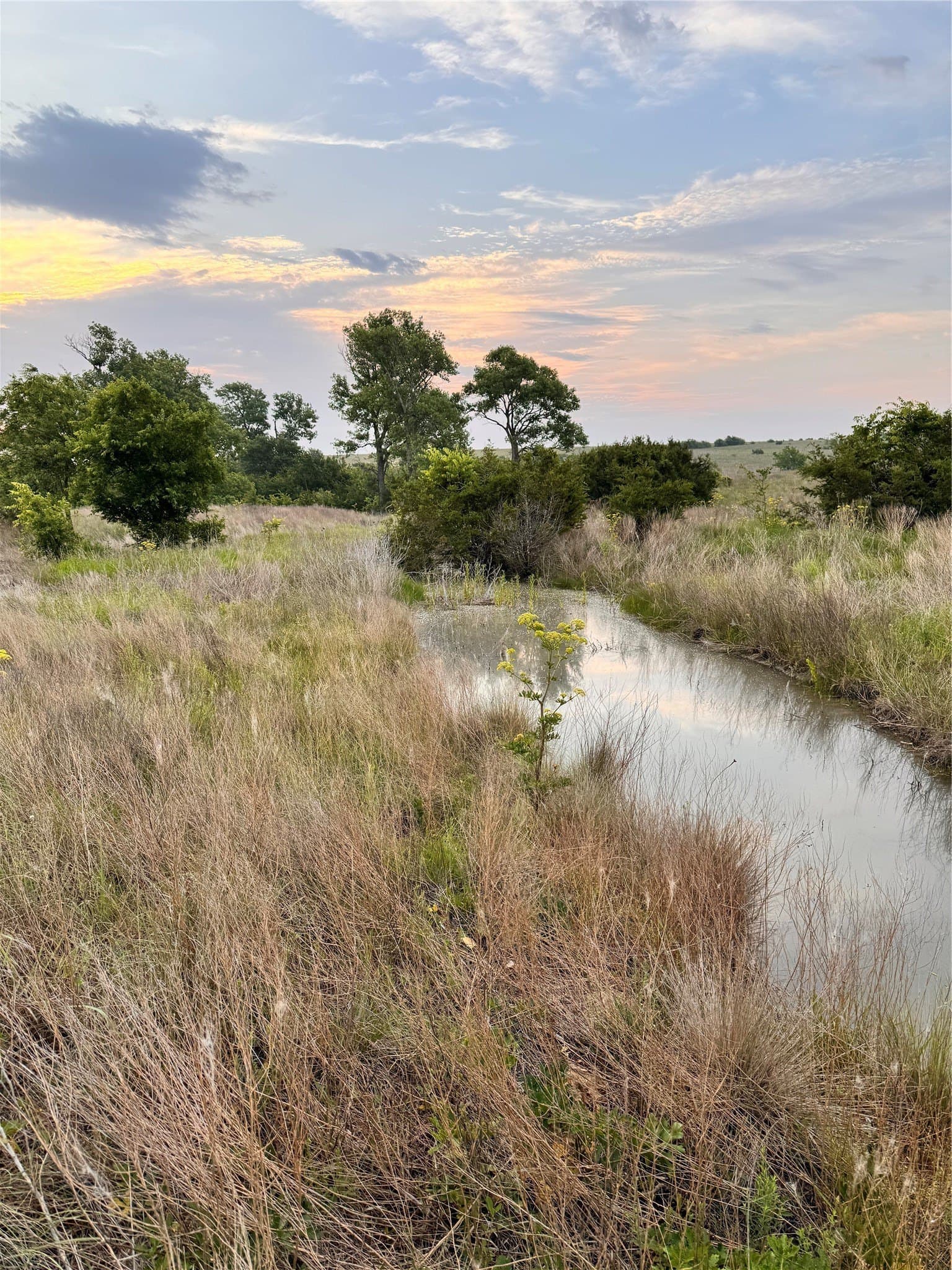 58.39 acres in Johnson County - photo 3
