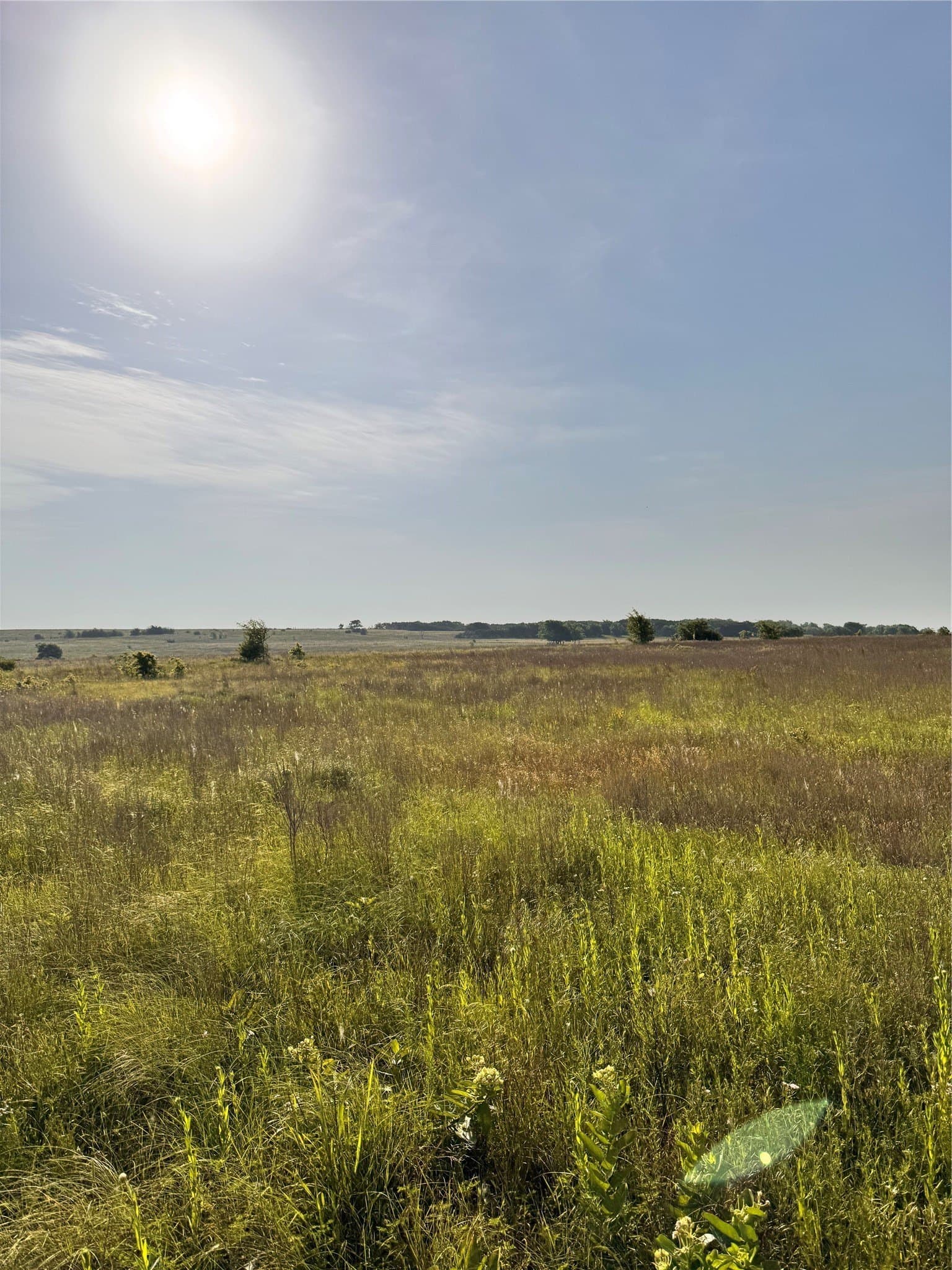 58.39 acres in Johnson County - photo 5