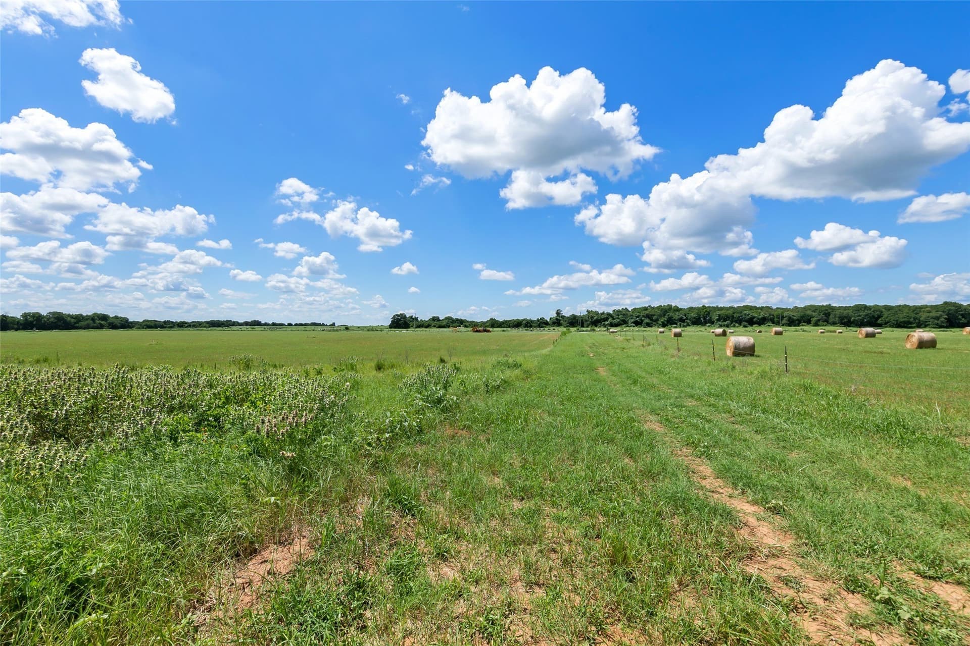 10.92 acres in Hill County - photo 11