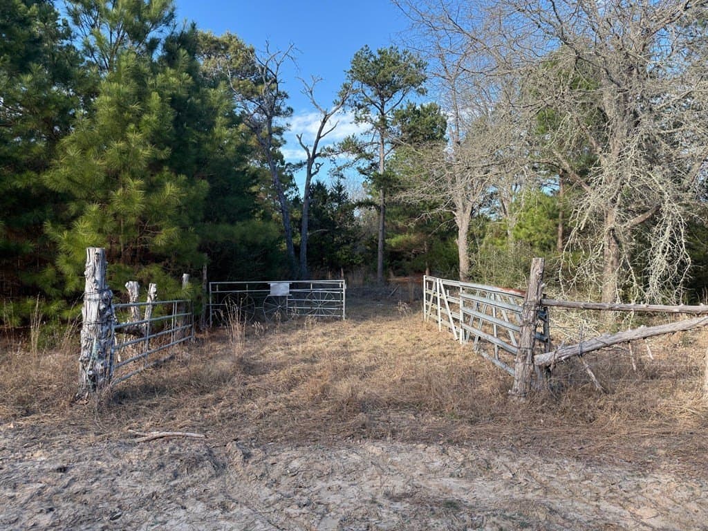 22.3 acres in ANDERSON County - photo 43