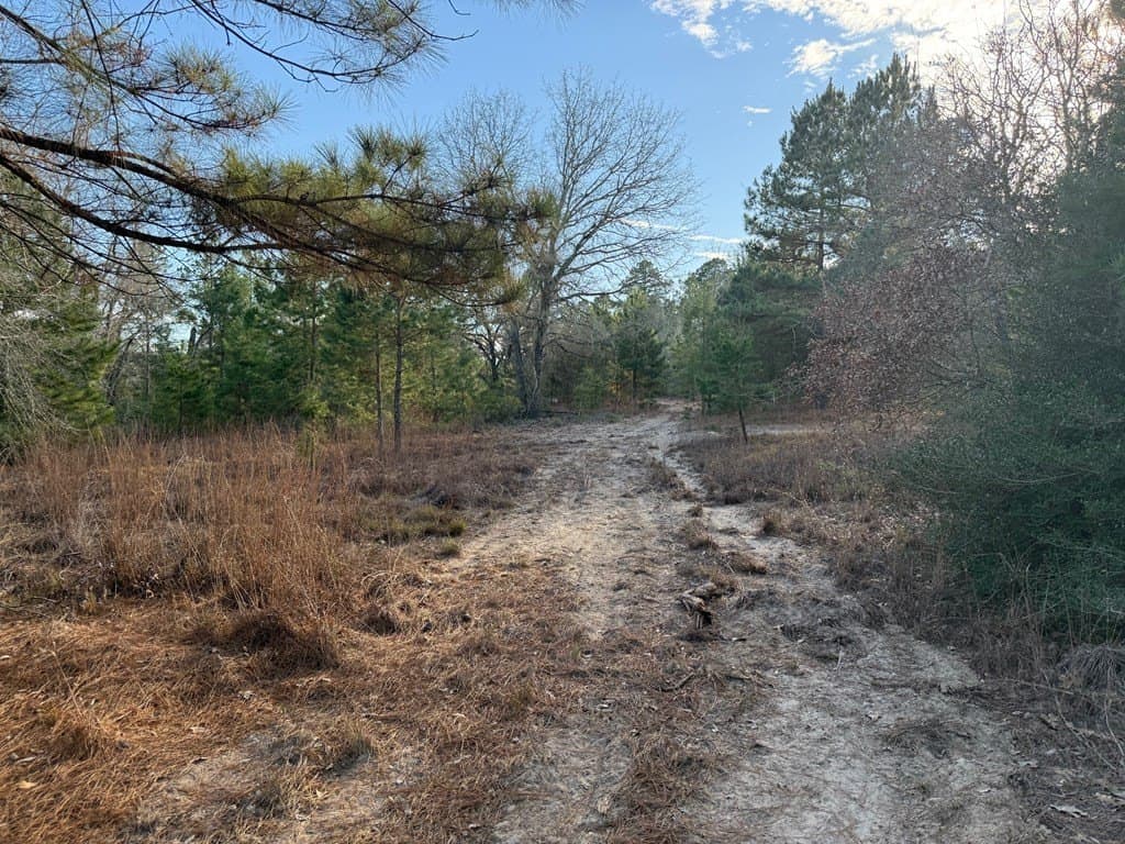 22.3 acres in ANDERSON County - photo 42