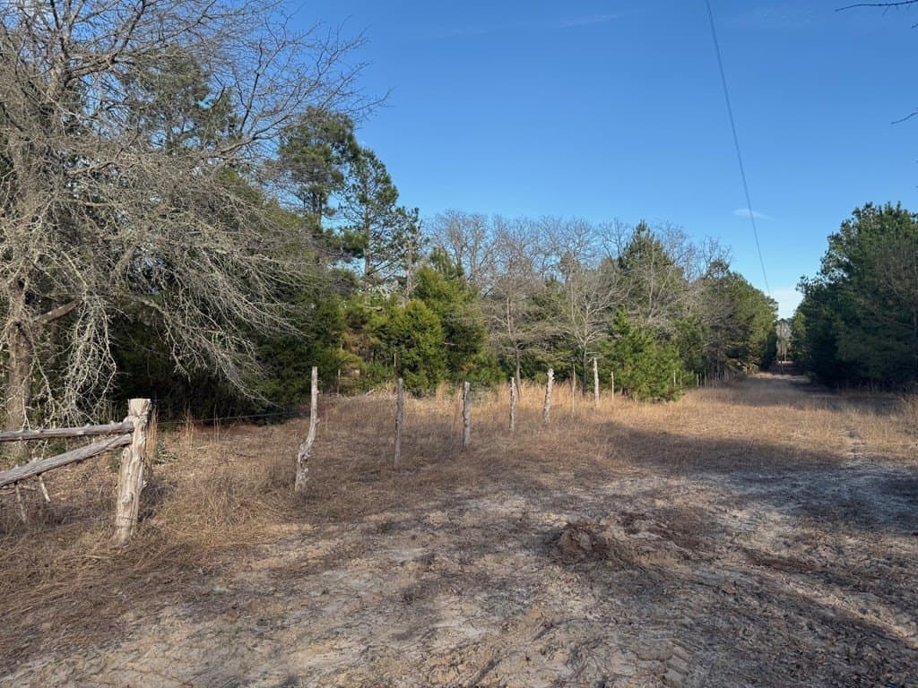 22.3 acres in ANDERSON County - photo 44