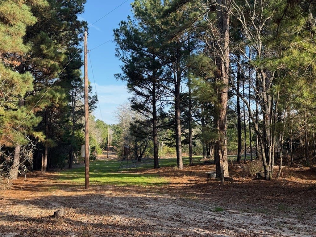 22.3 acres in ANDERSON County - photo 34