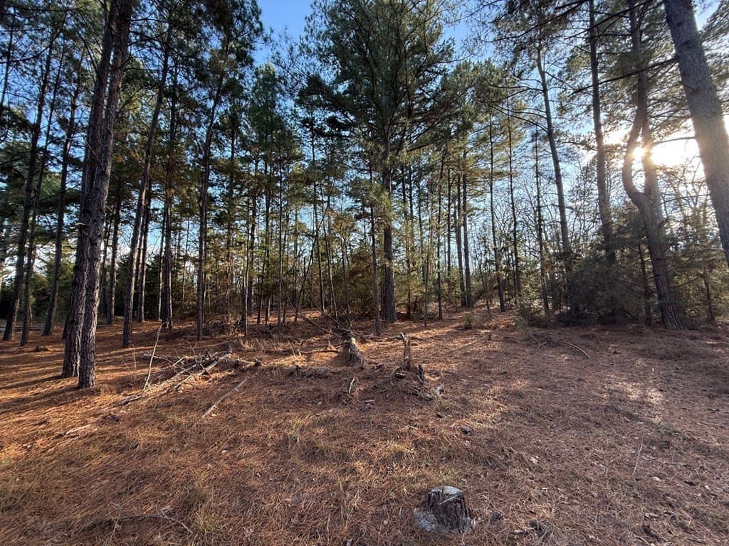 22.3 acres in ANDERSON County - photo 37