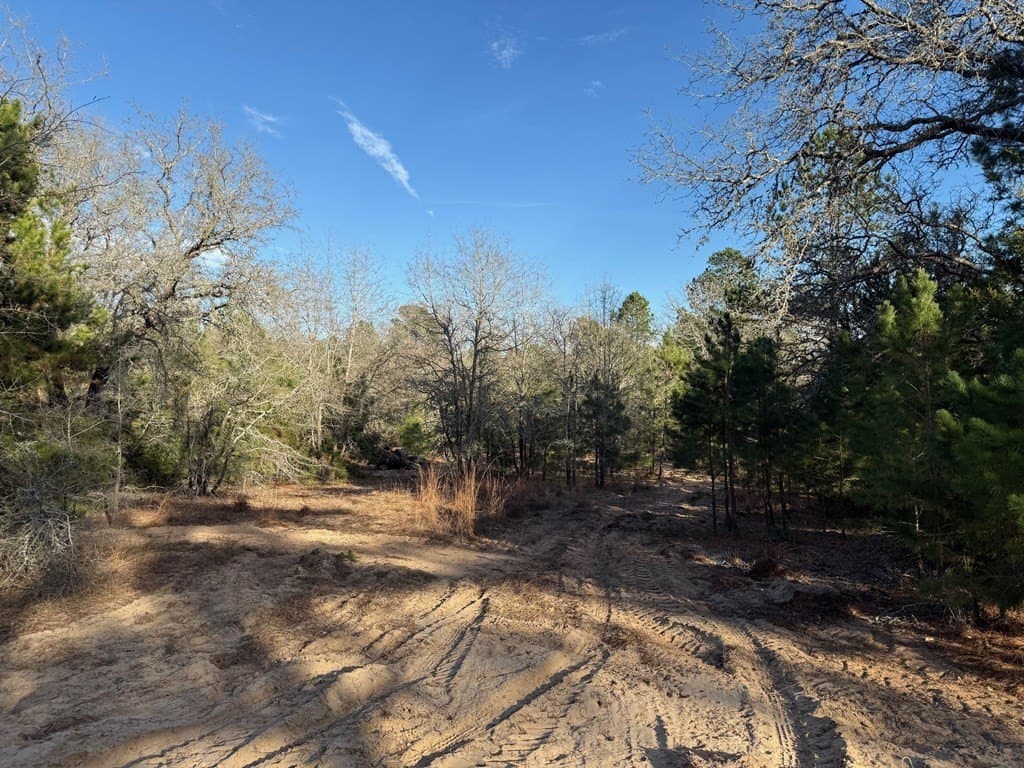 22.3 acres in ANDERSON County - photo 49