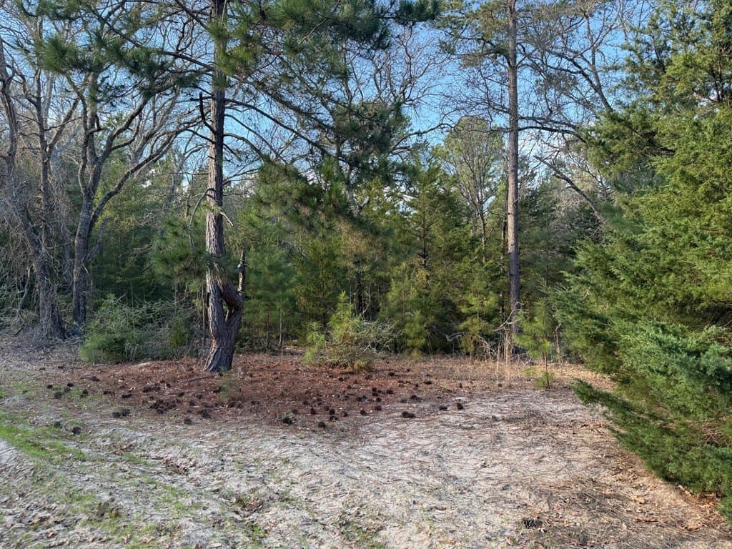 22.3 acres in ANDERSON County - photo 41
