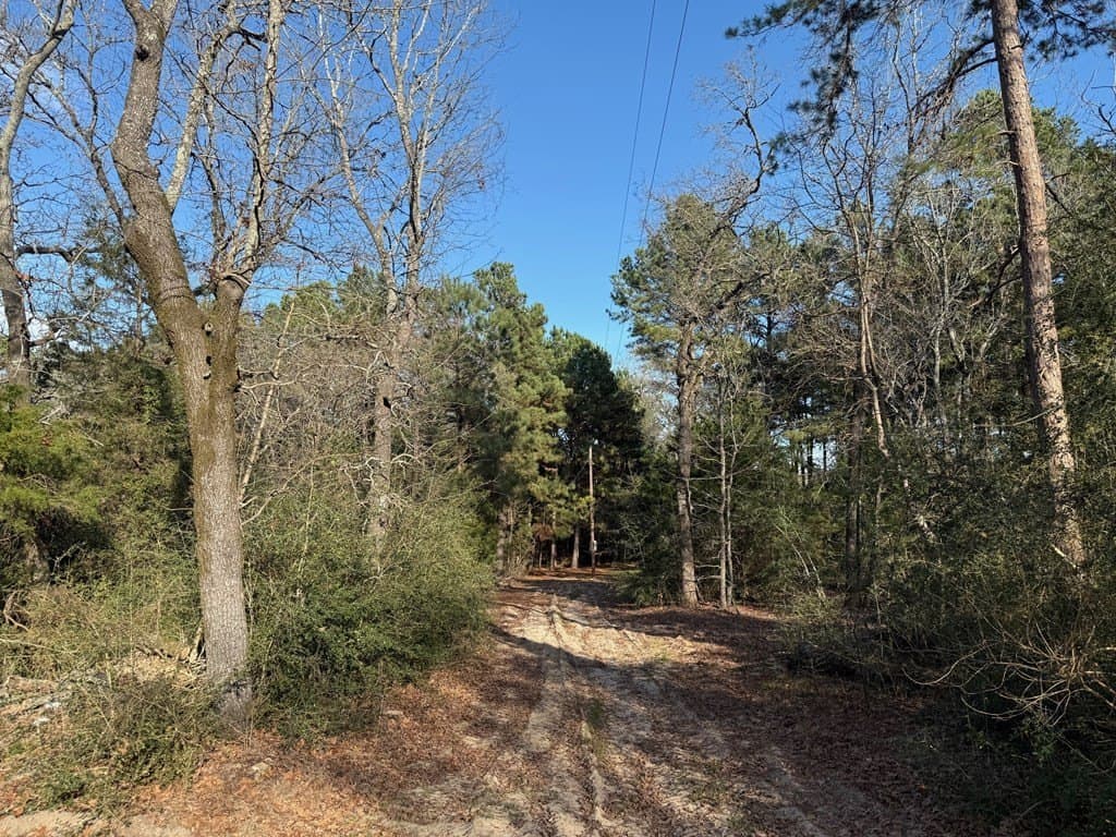 22.3 acres in ANDERSON County - photo 31