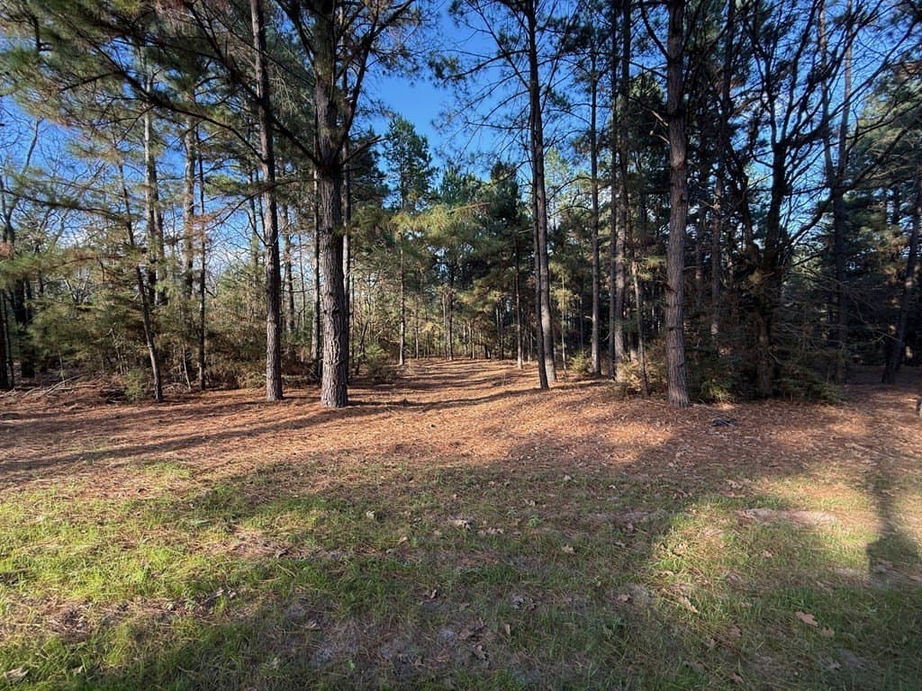 22.3 acres in ANDERSON County - photo 38