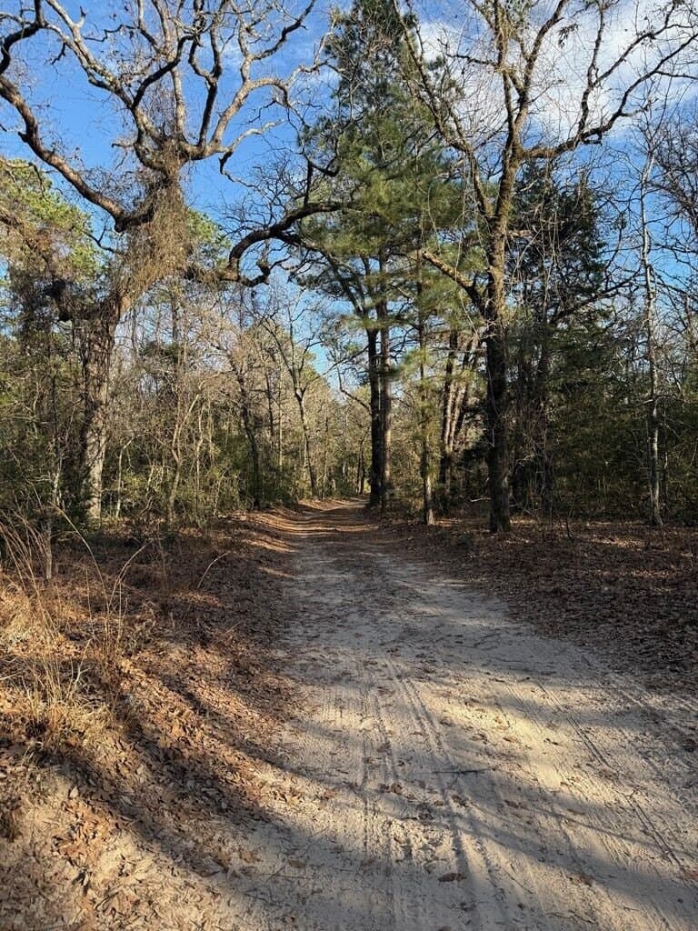 22.3 acres in ANDERSON County - photo 55