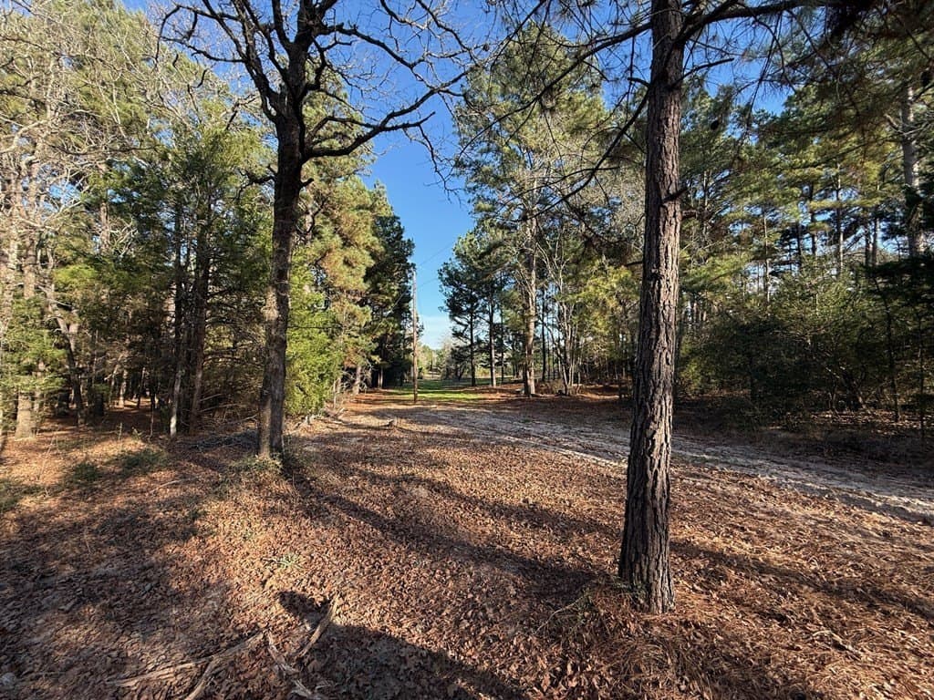 22.3 acres in ANDERSON County - photo 36