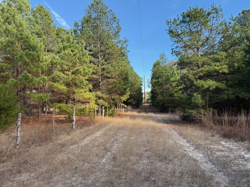 22.3 acres in ANDERSON County - photo 47