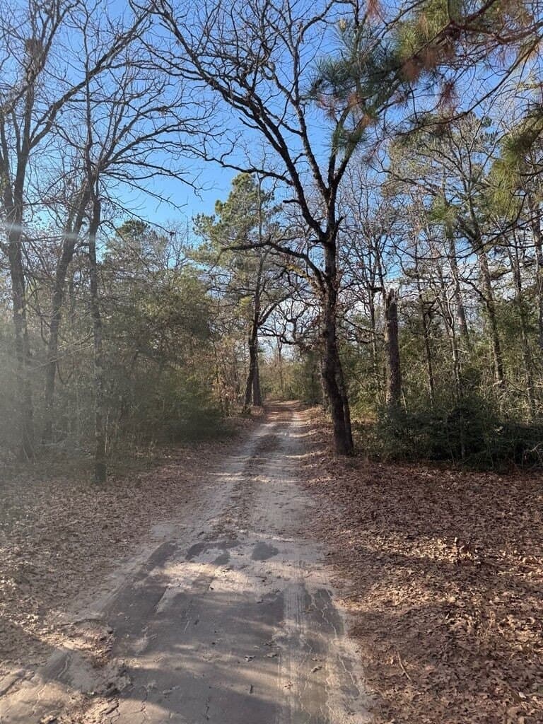 22.3 acres in ANDERSON County - photo 54