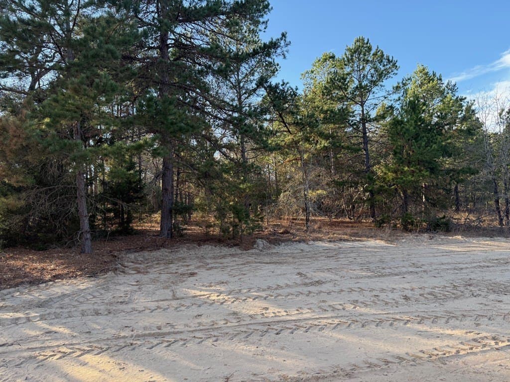 22.3 acres in ANDERSON County - photo 51