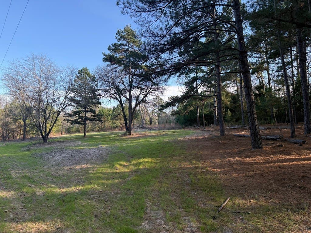 22.3 acres in ANDERSON County - photo 40