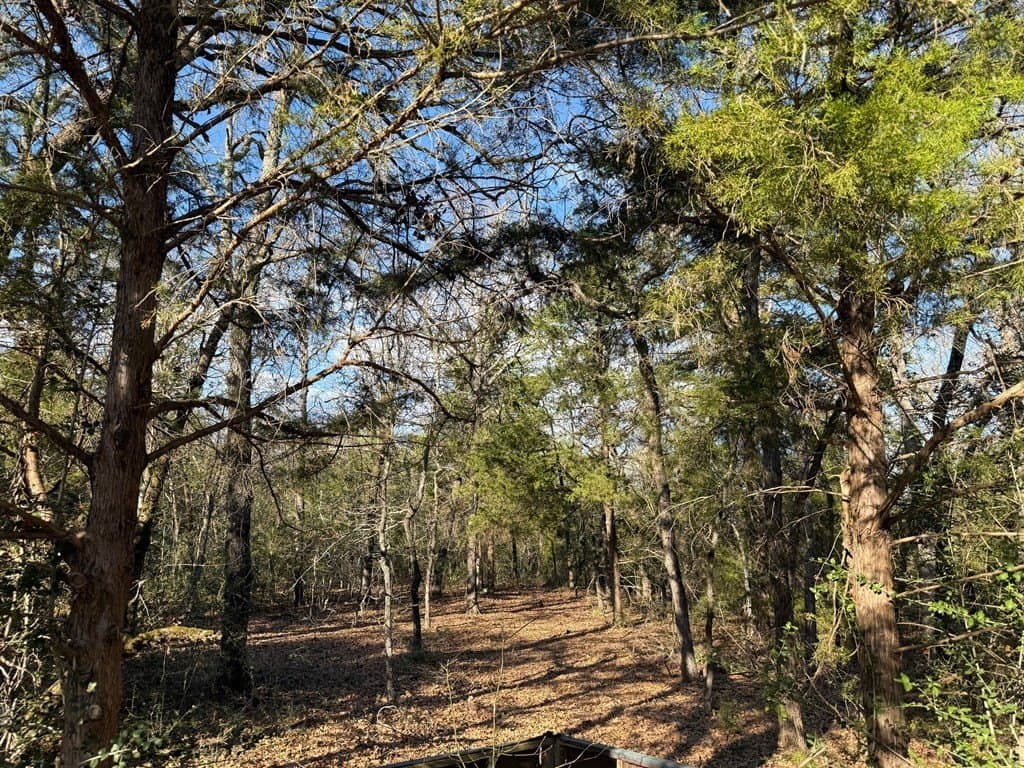 22.3 acres in ANDERSON County - photo 32