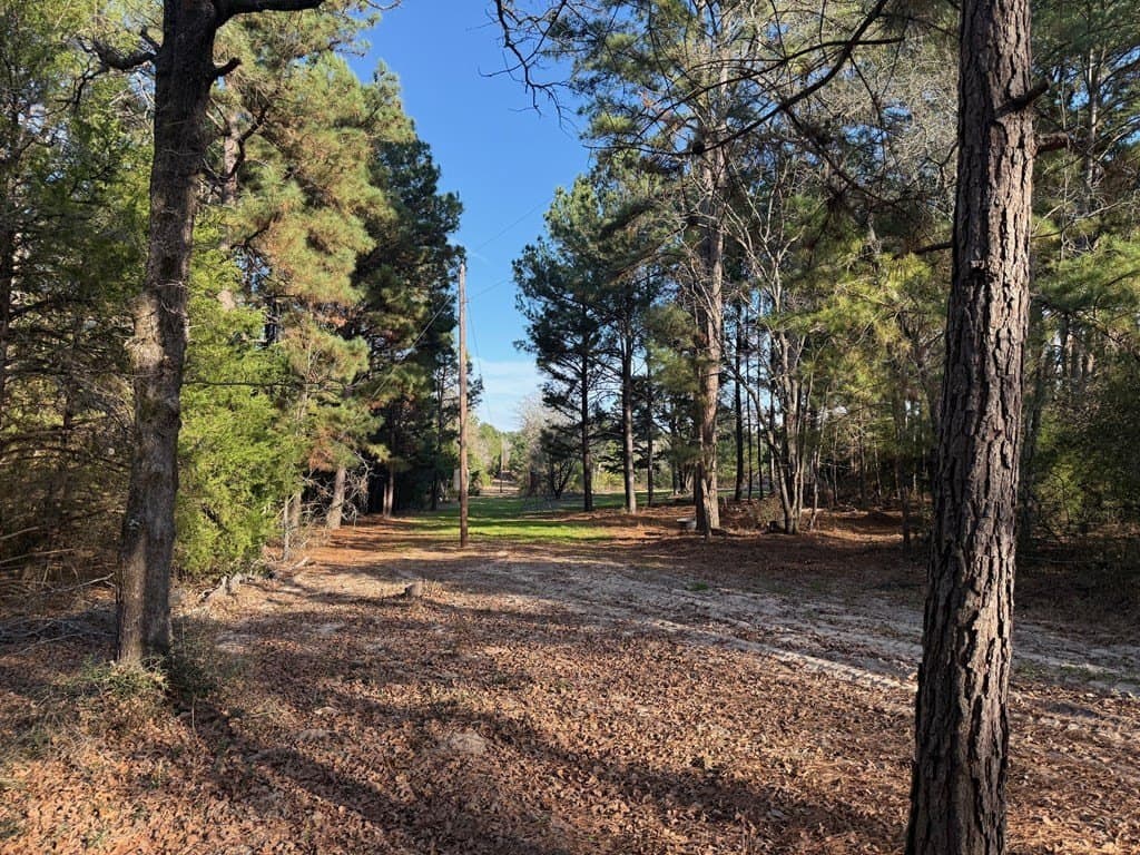 22.3 acres in ANDERSON County - photo 35